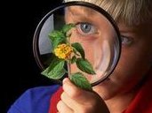 上海哪里服务较好最便宜三代试管婴儿？上海哪个服务三代试管婴儿比较好？