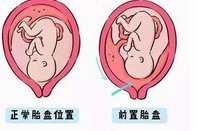 山东特需医院有哪些？