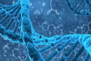 陆军军医大学西南医院做三代试管婴儿成功率高不高？什么因素可以影响到试管成功率