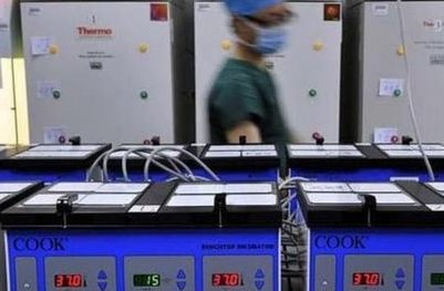 浅析为何胚胎移植后情绪很难控制，附调整心情方法分享