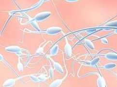 泰国试管婴儿医院需要多少钱？涨价了吗？