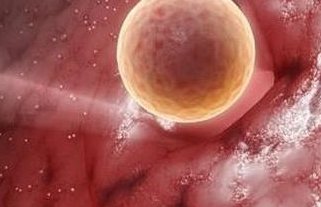 确诊为免疫性不孕能在珠海市做试管婴儿吗？做三代试管需要多少钱？